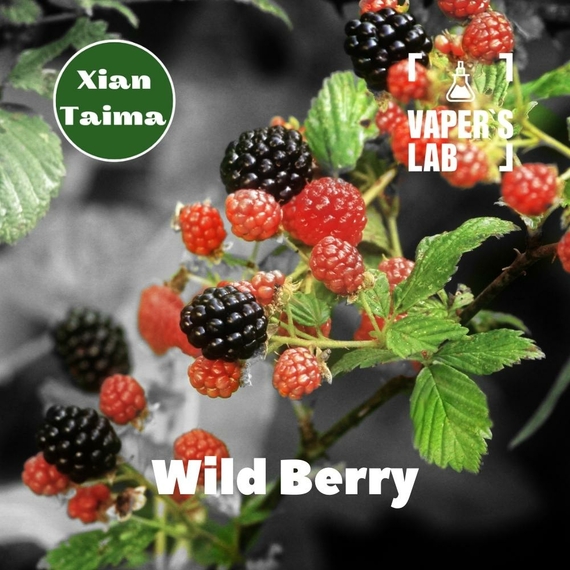 Відгуки на Найкращі харчові ароматизатори Xi'an Taima "Wild berry" (Лісова ягода) 