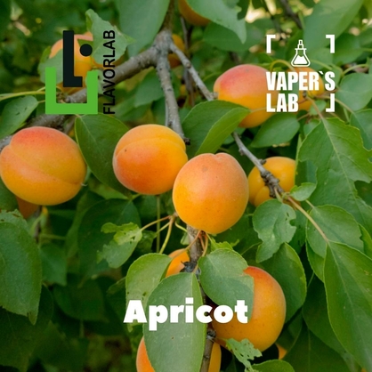 Фото, Відеоогляди на Ароматизатори Flavor Lab Apricot 10 мл