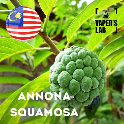 Фото на Аромку для вейпа Malaysia flavors Annona squamosa
