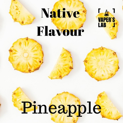 Фото, Видео на заправки для вейпа Native Flavour Pineapple 30 ml