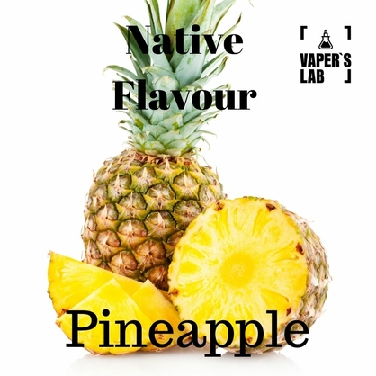 Фото рідина для вейпа купити native flavour pineapple 120 ml