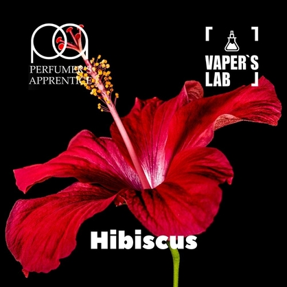 Фото, Видео, Премиум ароматизаторы для электронных сигарет TPA "Hibiscus" (Каркаде) 