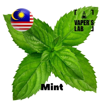 Фото на Аромку для вейпа Malaysia flavors Mint
