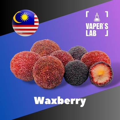 Фото на Ароматизаторы для вейпа Malaysia flavors Waxberry