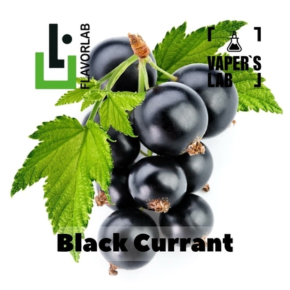 Фото, Відеоогляди на Аромки для вейпа Flavor Lab Black Currant 10 мл