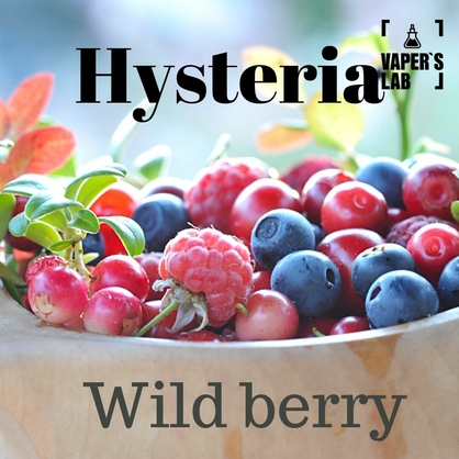 Фото, Видео на заправки для вейпа Hysteria Wild berry 100 ml