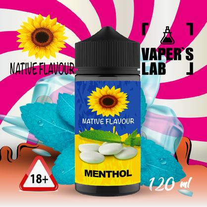 Фото заправка до електронної сигарети native flavour menthol 120 ml