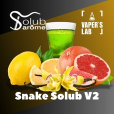 Ароматизатор для самозамеса Solub Arome Snake Solub V2 Абсент ваниль лимон грейпфрут