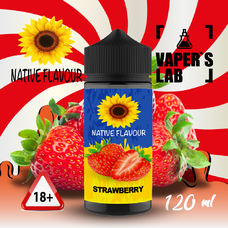 Купити жижу для вейпа без нікотину Native Flavour Strawberry 120 ml