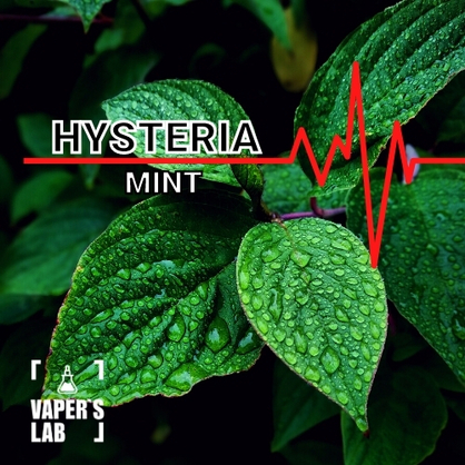 Фото, Відео на жижи без нікотину Hysteria Mint 30 ml