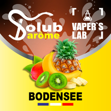 Ароматизатори для самозамішування Solub Arome "Bodensee" (Цитрусові та екзотичні фрукти)