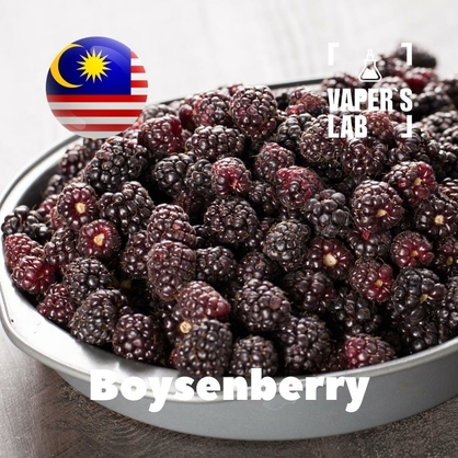 Фото на Ароматизаторы для вейпа Malaysia flavors Boysenberry