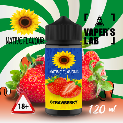 Фото купити жижу для вейпа без нікотину native flavour strawberry 120 ml