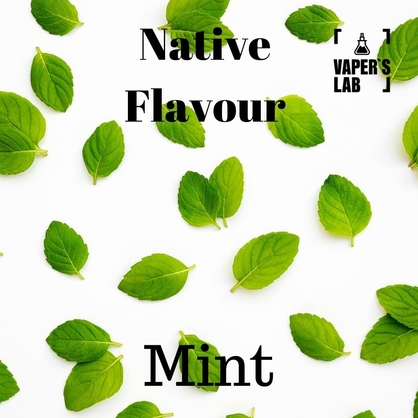 Фото жижа для вейпа купити дешево native flavour mint 120 ml