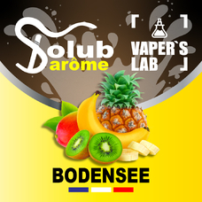  Solub Arome Bodensee Цитрусовые и экзотические фрукты