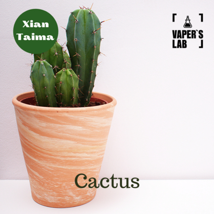 Фото, Відеоогляди на Ароматизатори для сольового нікотину Xi'an Taima "Cactus" (Кактус) 