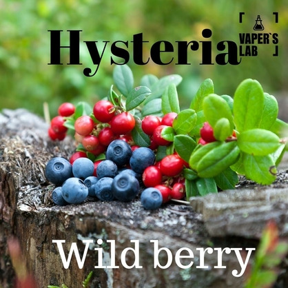 Фото, Видео Salt жижа на солевом никотине Hysteria Salt "Wild Berry" 15 ml