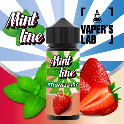 Фото рідини для електронних сигарет mint strawberry 120 ml