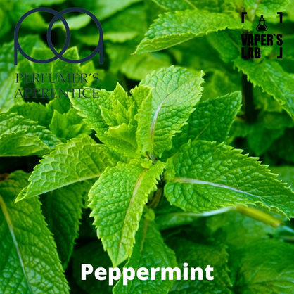 Фото, Відеоогляди на ароматизатор електронних сигарет TPA "Peppermint" (Насичена м'ята) 