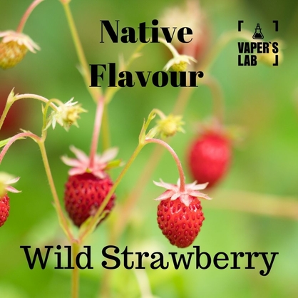 Фото, Видео на жижа Native Flavour Wild Strawberry 100 ml