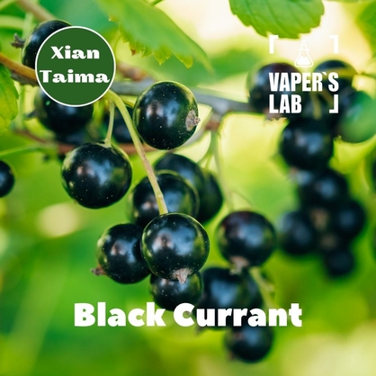 Фото, Видео, Аромки для вейпа Xi'an Taima "Black currant" (Черная смородина) 