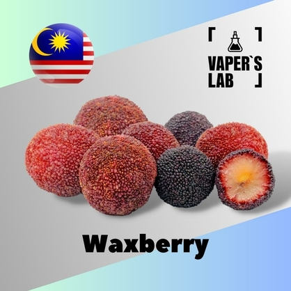Фото, Відеоогляди на Aroma Malaysia flavors Waxberry