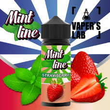 Рідини для електронних сигарет Mint Strawberry 120 ml