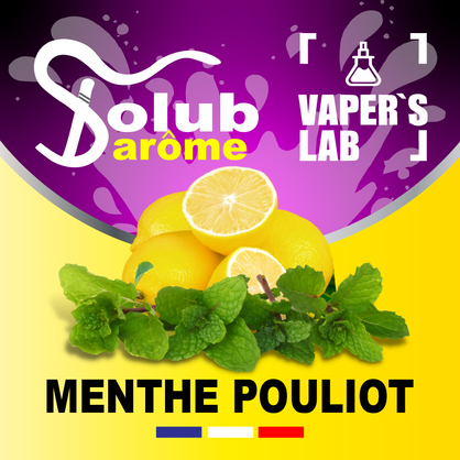 Фото, Відеоогляди на Компоненти для рідин Solub Arome "Menthe pouliot" (Лимон та м'ята) 