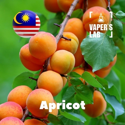 Фото, Відеоогляди на Аромки для вейпа. Malaysia flavors Apricot