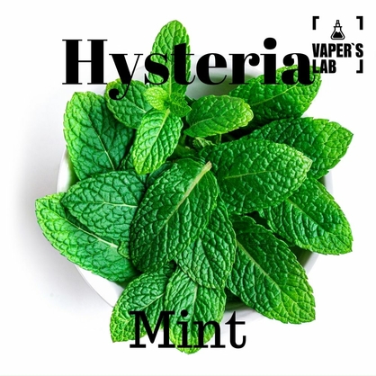 Фото, Видео на жижки Hysteria Mint 100 ml