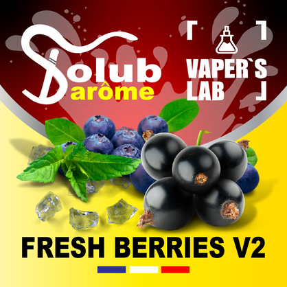 Фото, Видео, Пищевой ароматизатор для вейпа Solub Arome "Fresh Berries v2" (Черника смородина мята ментол) 