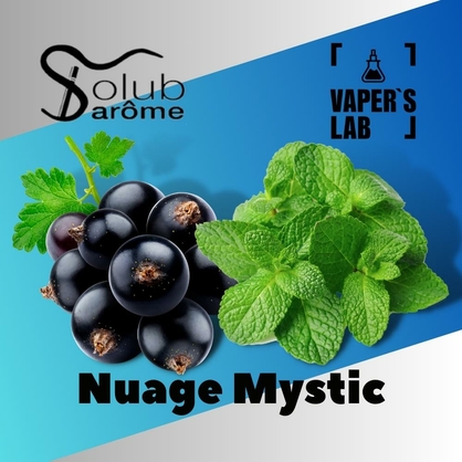 Фото, Видео, Премиум ароматизаторы для электронных сигарет Solub Arome "Nuage Mystic" (Смородина с мятой) 