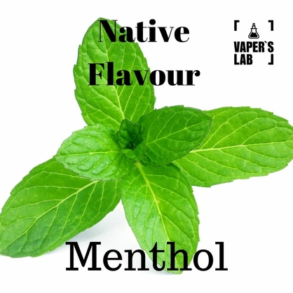 Фото, Видео на жижи для вейпа Native Flavour Menthol 100 ml