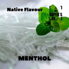 Кращі смаки для самозамісу Native Flavour Menthol 30мл