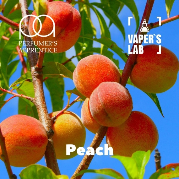 Отзывы на Основы и аромки TPA "Peach" (Персик) 