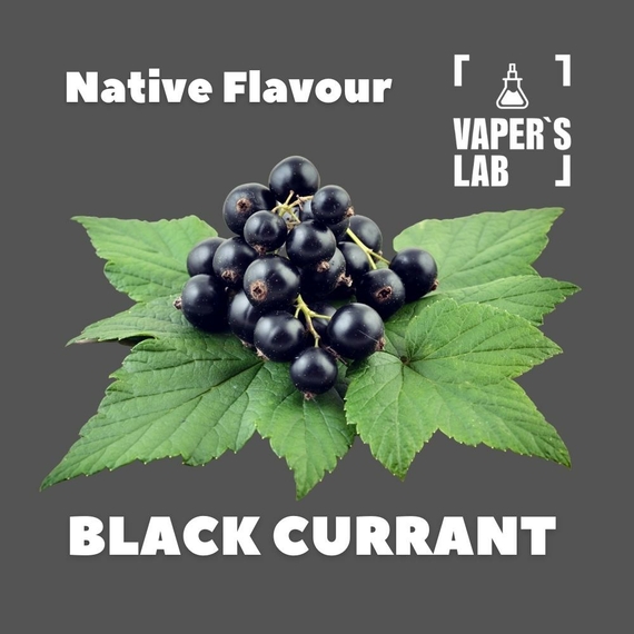 Ароматизатори для вейпа Native Flavour Black Currant 30мл