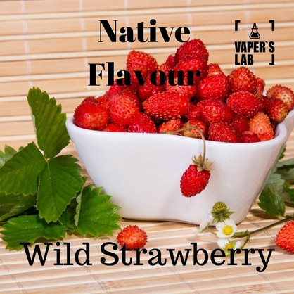 Фото жидкость для вейпа native flavour wild strawberry 120 ml