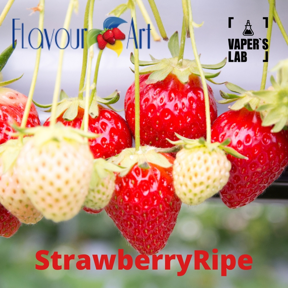 Відгуки на Аромки для вейпа FlavourArt StrawberryRipe