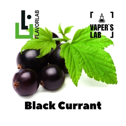 Фото, Відеоогляди на Аромки для вейпа Flavor Lab Black Currant 10 мл