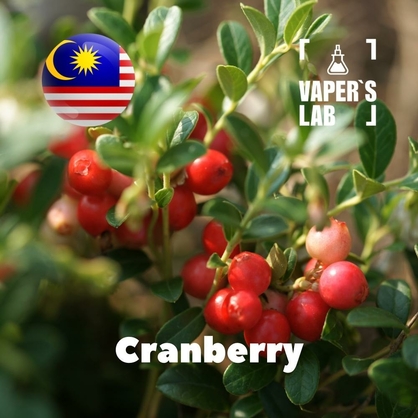 Фото на Aroma для вейпа Malaysia flavors Cranberry
