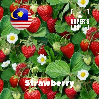 Фото на Аромки для вейпа для вейпа Malaysia flavors Strawberry