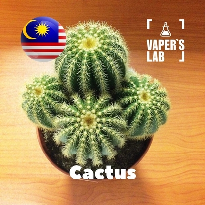 Фото на Аромки для вейпа для вейпа Malaysia flavors Cactus