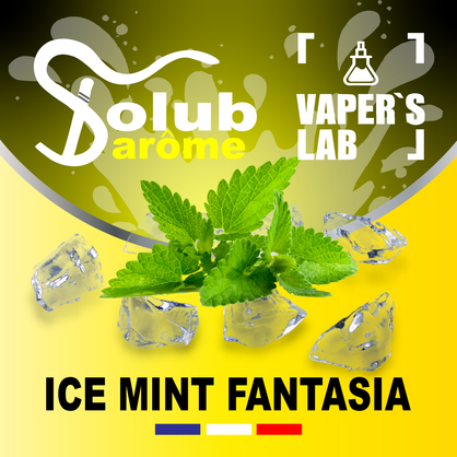 Фото, Відеоогляди на Ароматизатори для сольового нікотину Solub Arome "Ice mint fantasia" (М'ята ментол та кулер) 