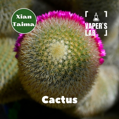 Фото, Видео, Ароматизаторы вкуса Xi'an Taima "Cactus" (Кактус) 