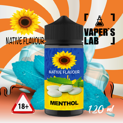 Фото жижа для вейпа до 120 грн native flavour menthol 120 ml
