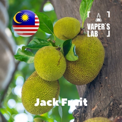 Фото на Ароматизатор для вейпа Malaysia flavors Jack fruit