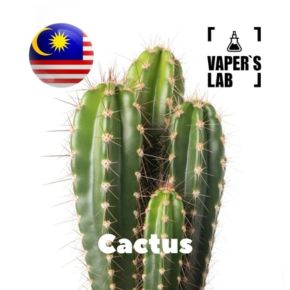 Фото, Відеоогляди на Аромки для вейпа. Malaysia flavors Cactus